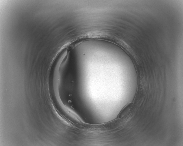 X0000065950530200603311748