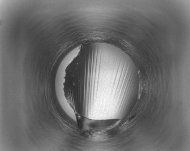 X0000065950552200603311749