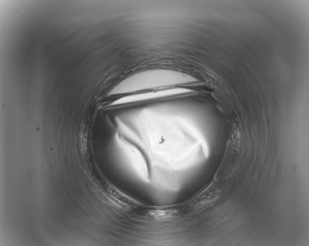 X0000065950558200603311749