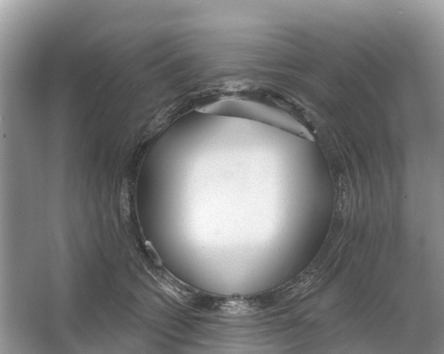 X0000065950562200603311749