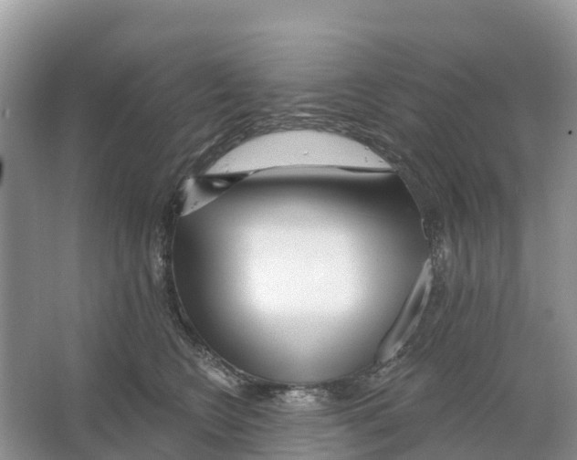 X0000065950566200603311749