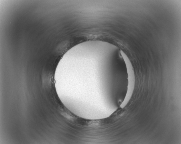 X0000065950574200603311749
