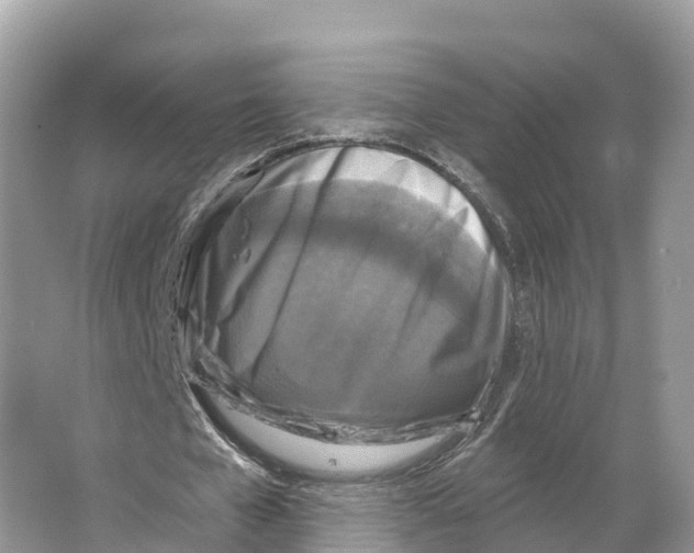 X0000065950577200603311748