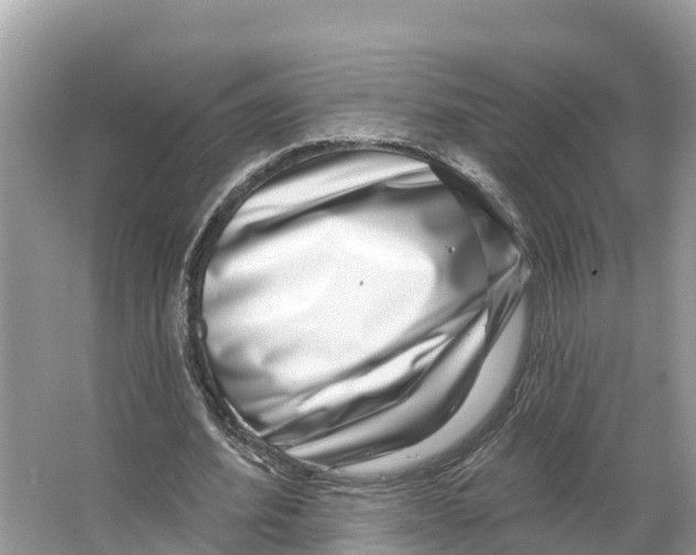 X0000065950580200603311748