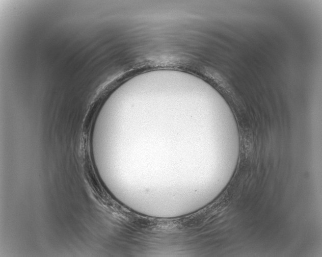 X0000065950583200603311748