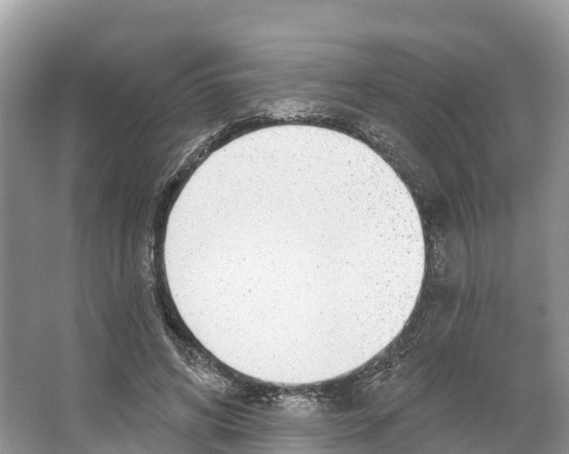 X0000065950592200603311748