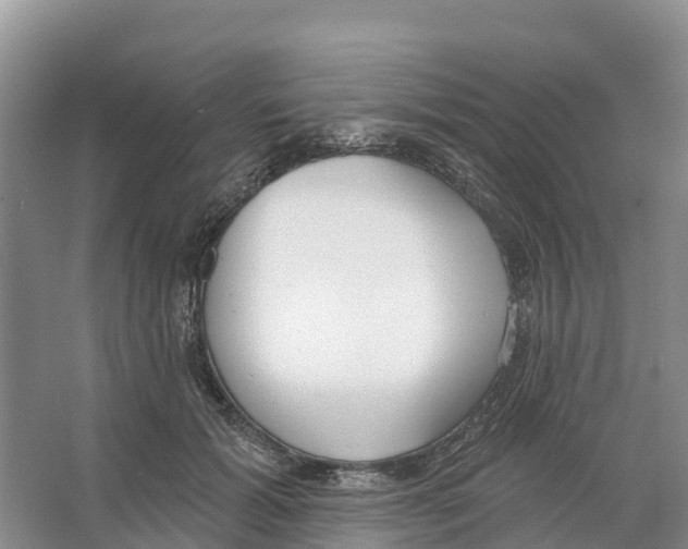 X0000065950605200603311748
