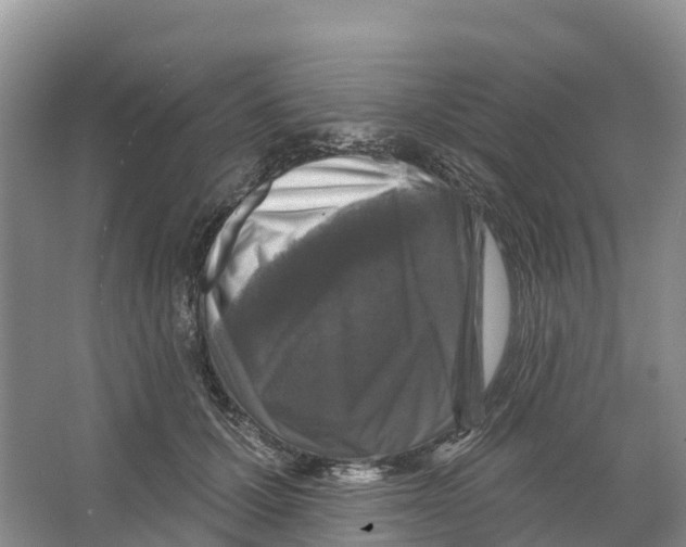 X0000065950607200603311748