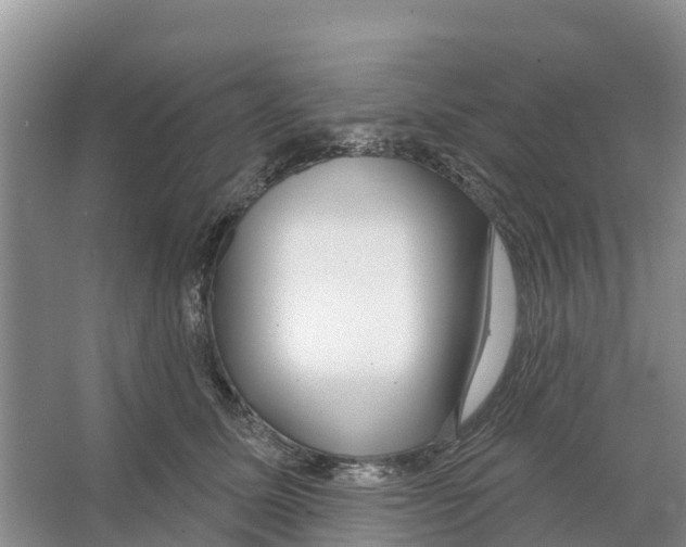 X0000065950611200603311748