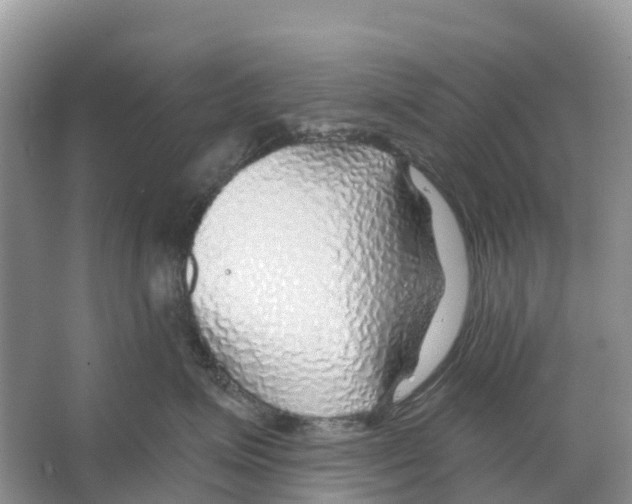 X0000065950623200603311747