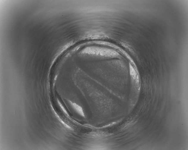 X0000065950630200603311747