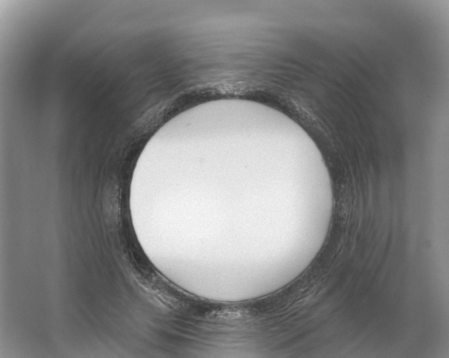 X0000065950639200603311747