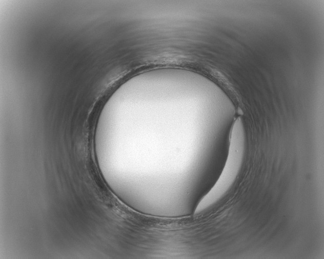 X0000065950675200603311747