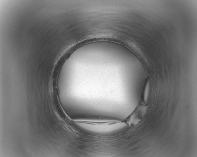 X0000065950676200603311746