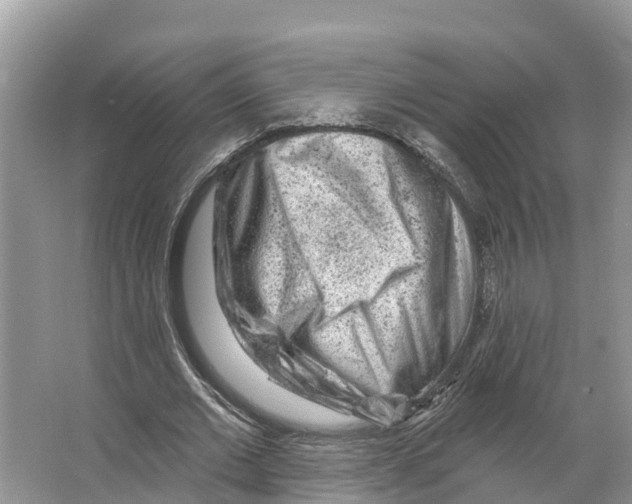 X0000065950677200603311746