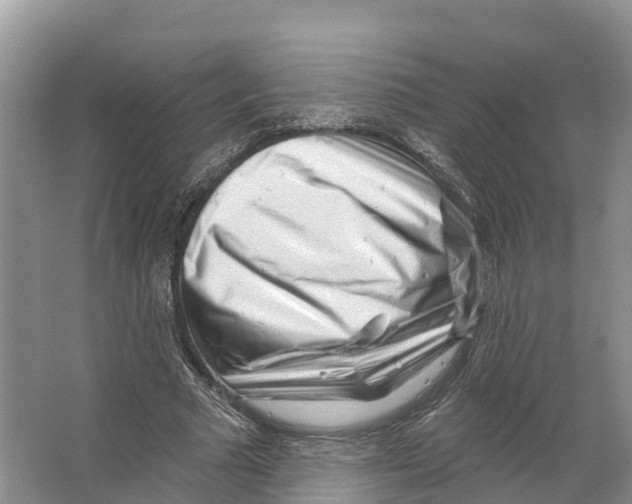 X0000065950681200603311746