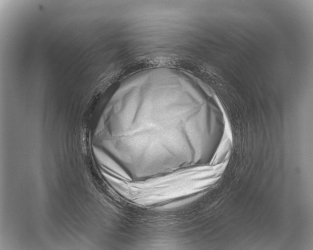 X0000065950696200603311746