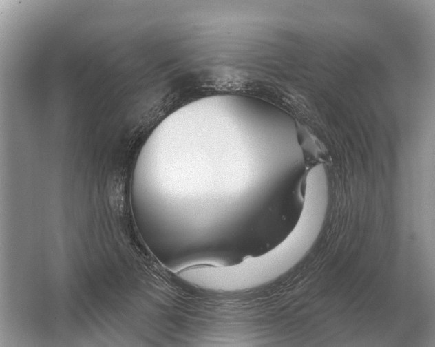 X0000065950697200603311746