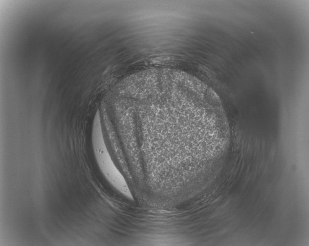 X0000065950703200603311746