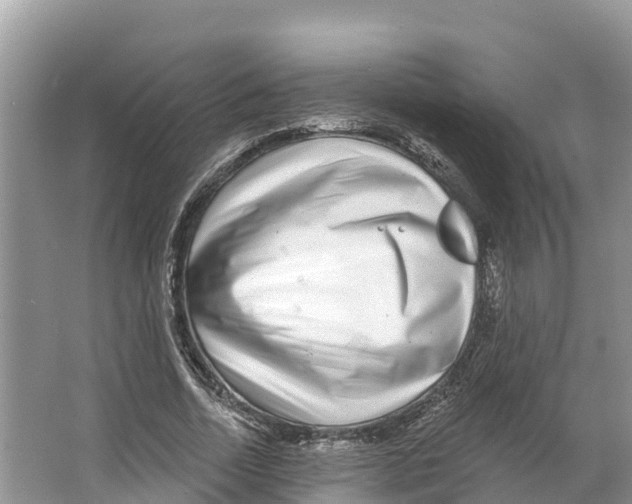 X0000065950730200603311745