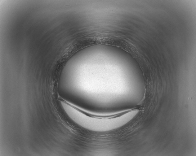 X0000065950750200603311745