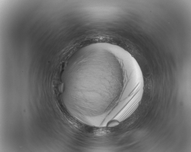 X0000065950754200603311745