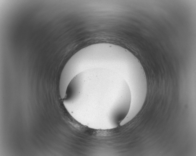 X0000065950766200603311746