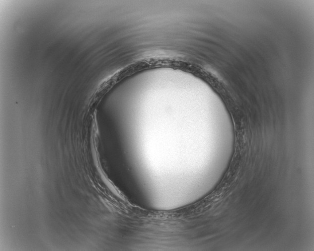 X0000065950775200603311745