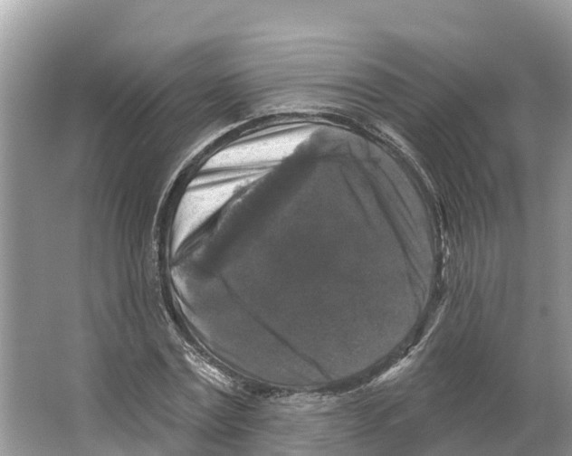 X0000065950779200603311745