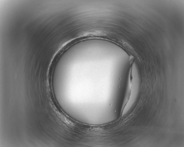X0000065950784200603311745