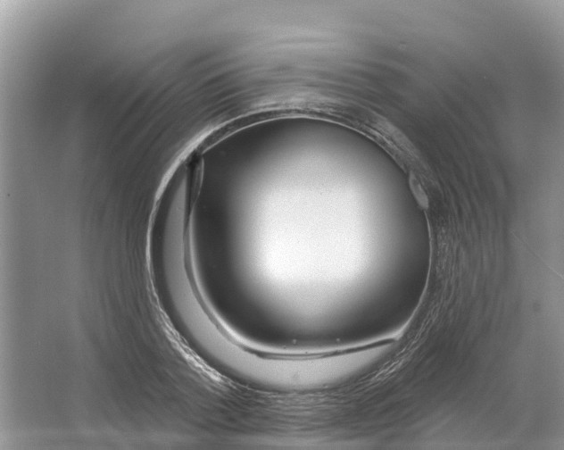 X0000065950788200603311745