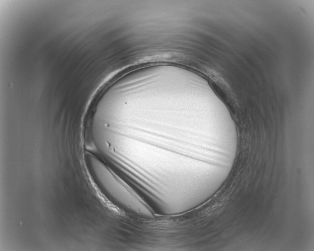 X0000065950792200603311745