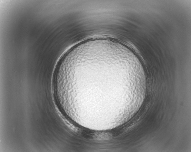 X0000065950795200603311744