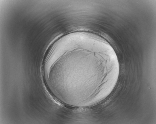 X0000065950806200603311744