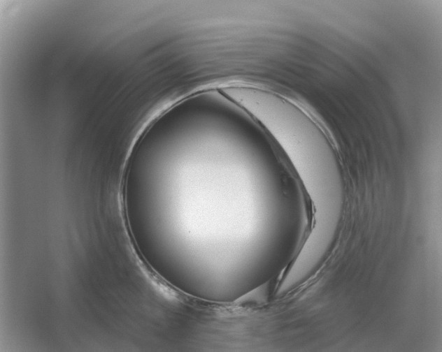X0000065950813200603311744