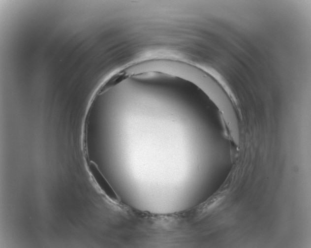 X0000065950815200603311744