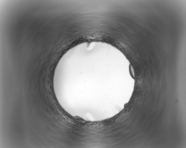X0000065950817200603311743