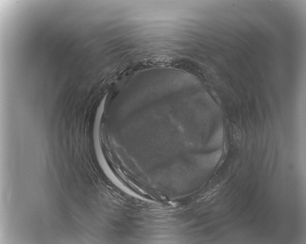 X0000065950818200603311743