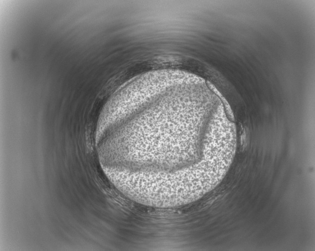 X0000065950819200603311743