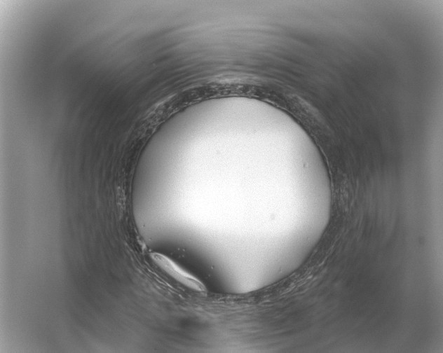 X0000065950821200603311743