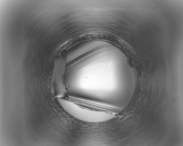X0000065950822200603311743