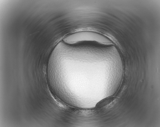 X0000065950849200603311744