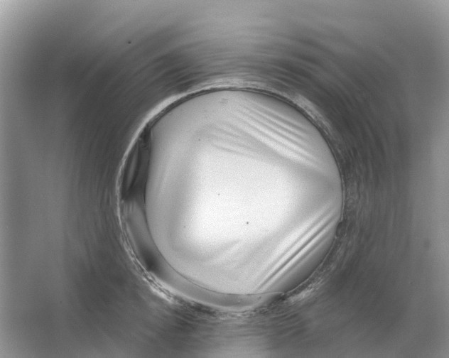 X0000065950854200603311744