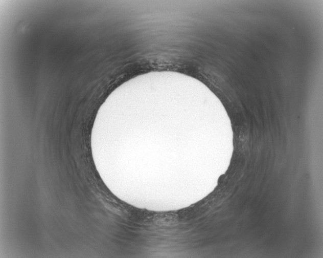 X0000065950865200603311743