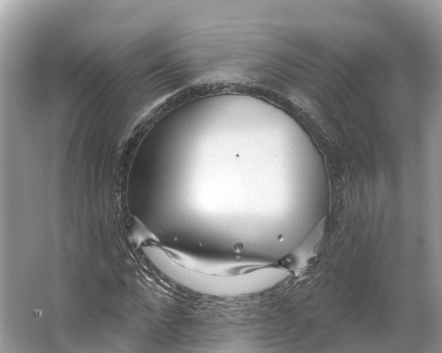 X0000065950872200603311743