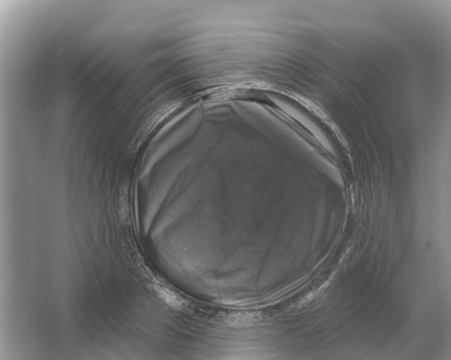 X0000065950889200603311743