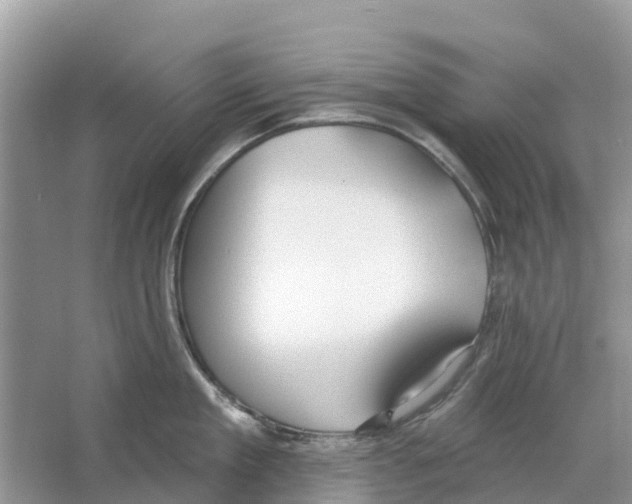 X0000065950909200603311743