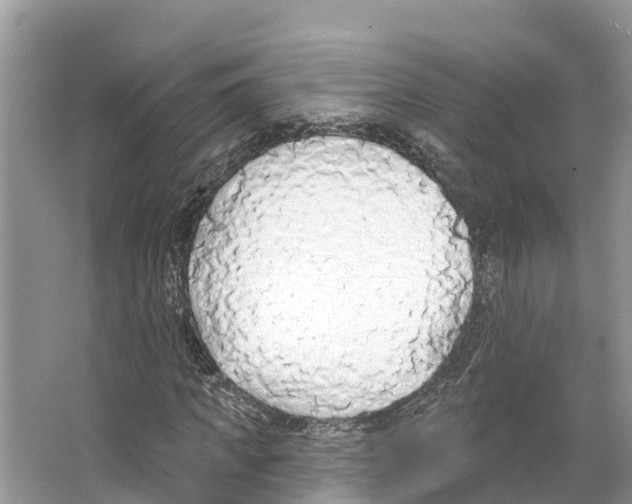 X0000065950917200603311742