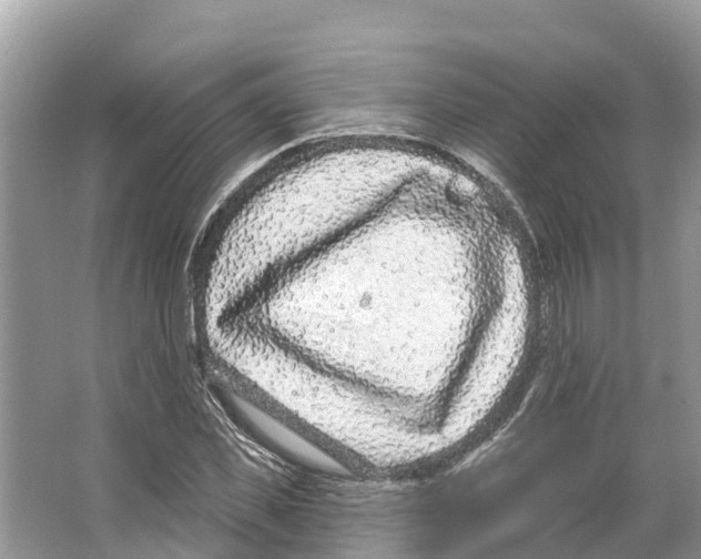 X0000065950925200603311742