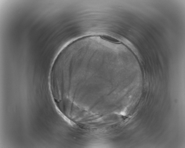 X0000065950958200603311742